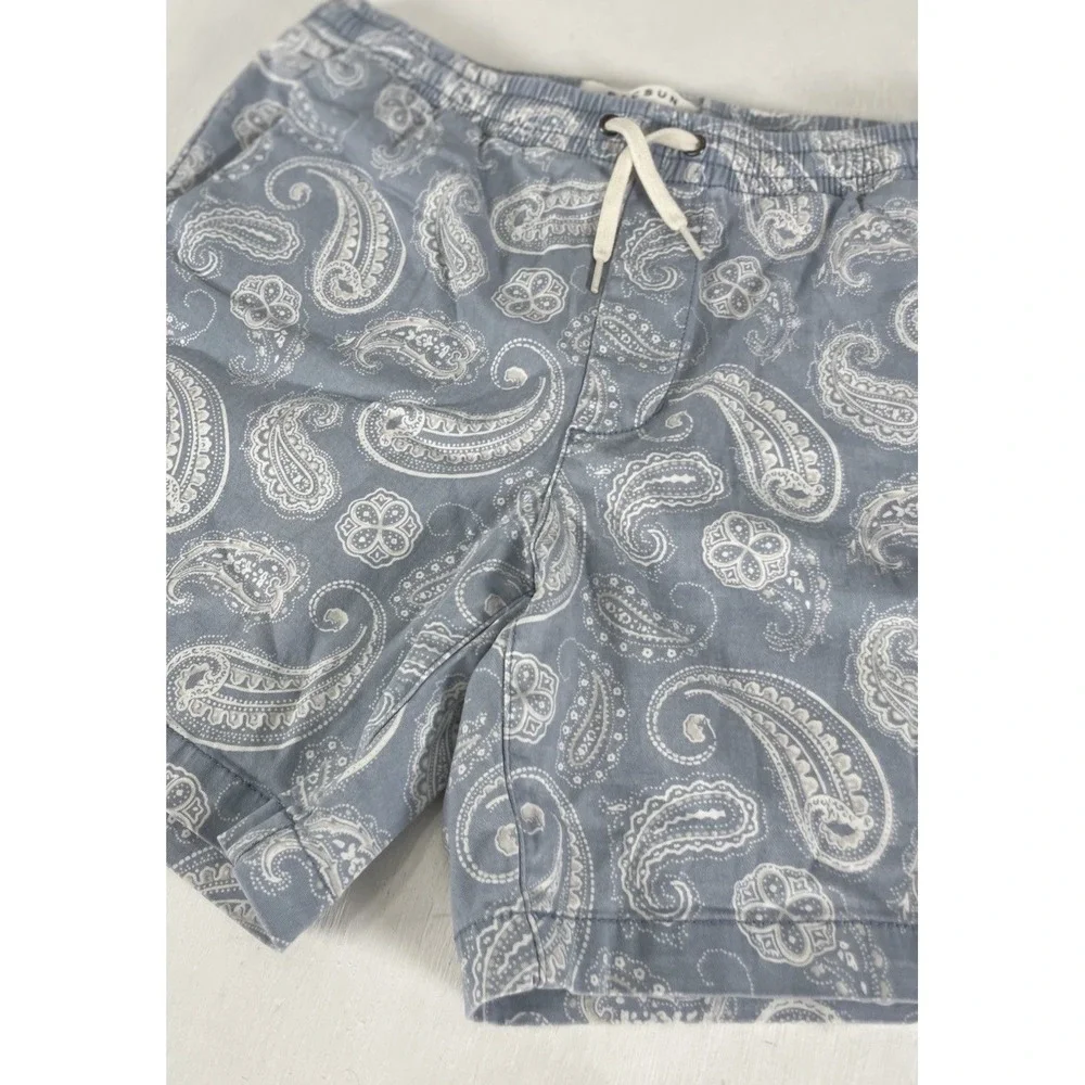 PacSun Men's Paisley Volley Shorts Blue Elastic Waist Drawstring Size S - Picture 2 of 13